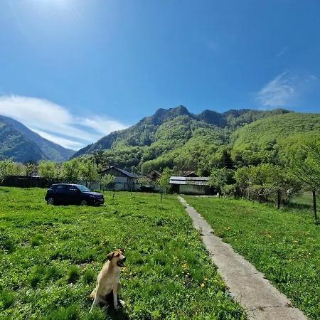 Green Nest Brezoi Exterior photo
